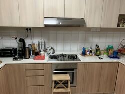 Sixth Crescent (D10), Semi-Detached #559927191